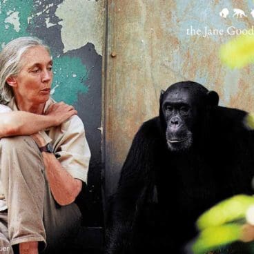 AP0216-3 Jane Goodall Institute