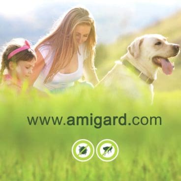 Amigard 2 Amigard