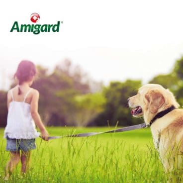 Amigard 5 Amigard