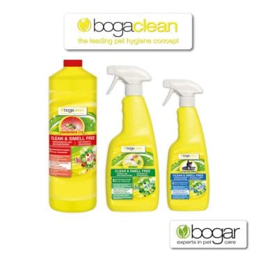 Bild Hygiene Bild Hygiene
