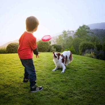 Hills Image (Boy+Collie) Hill’s Pet Nutrition