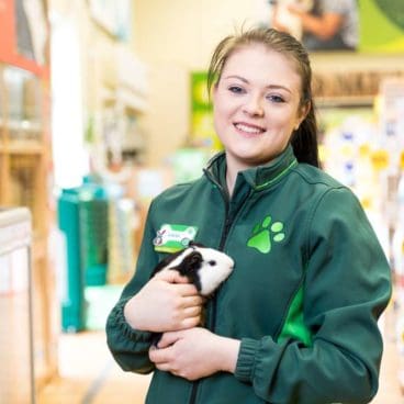 PAH 3 Pets At Home